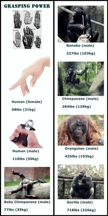 thumbimg
