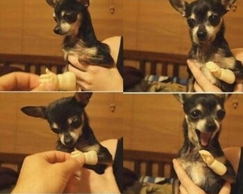 thumbimg